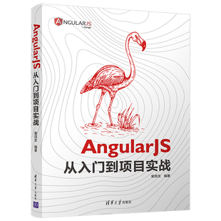 社 各项实战技能讲解书籍 出版 社直供 AngularJS从入门到项目实战 裴雨龙 Angular框架 掌握TypeScript基础 清华大学出版