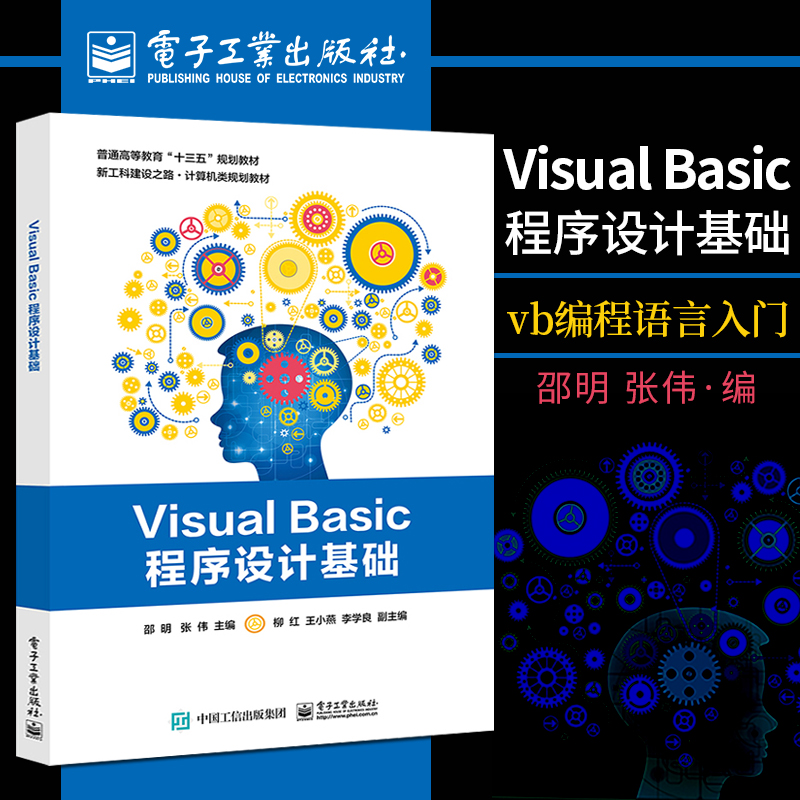 直供Visual Basic程序设计基础 vb编程语言从入门到精通vb6.0程序设计书籍 计算机编程教程 VB入门基础 vb语句数据库基础知识大全