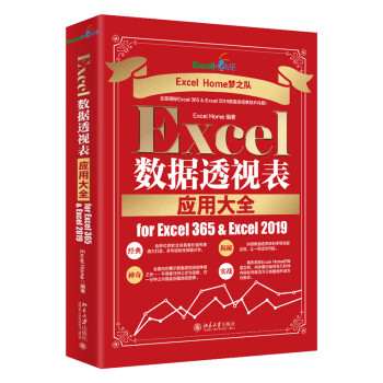 正版 Excel数据透视表应用大全 for Excel 365 & Excel 2019  北京大学出版社 9787301331781 Excel Home 2022-09