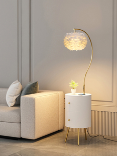 羽毛落地灯卧室床头柜一体化斯堪 纳维亚无障碍豪华客厅边桌饰品