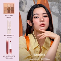 [Новый продукт — оранжево-коричневый светящийся макияж] Оранжево-коричневая палитра + Moonlight Shell + 22 оттенка бренди-коричневого цвета