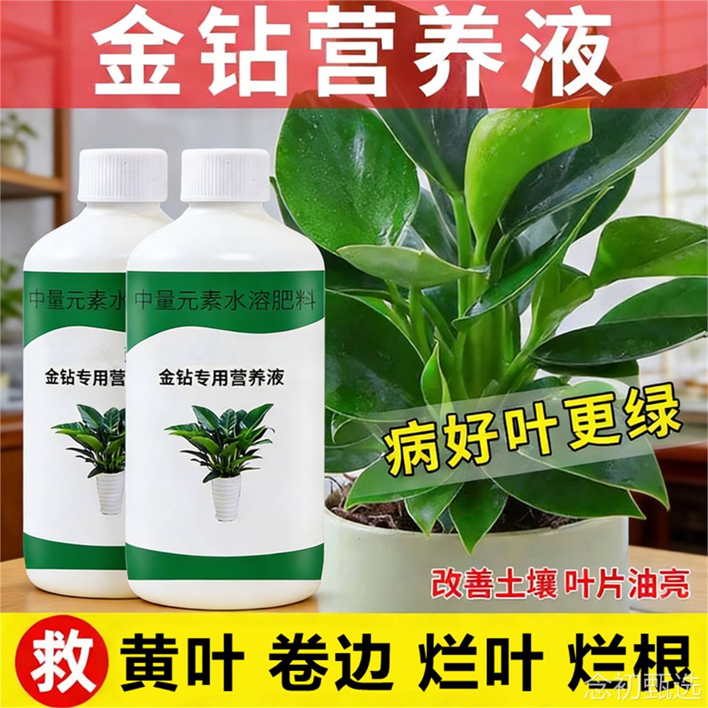 金钻营养液专用肥红钻绿公主土培水培植物室内盆栽绿植有机液体肥图片