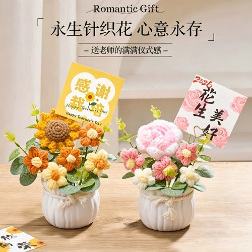 【有意义的盆栽永生花束礼物】