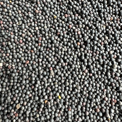 油菜籽鸟饲料鹦鹉芙蓉鸟玉鸟雀鸟文鸟金丝雀鸟食鸽粮 榨油 5斤