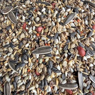 中大型亚历绯胸灰鹦鹉折衷饲料鸟粮 大型鹦鹉混合粮 纸壳麻子