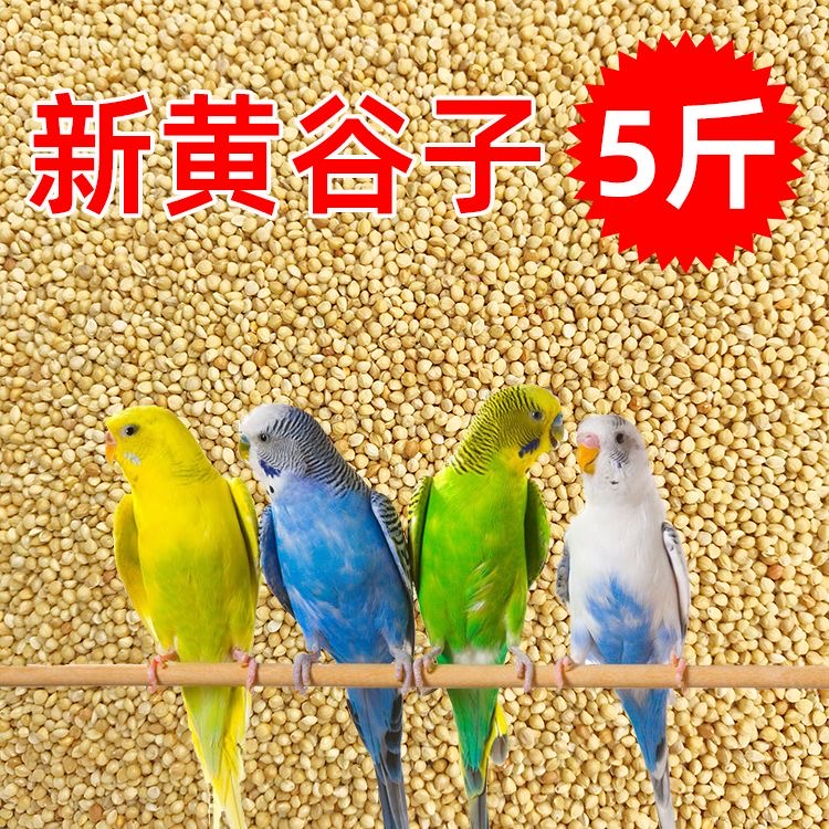 黄谷子带壳小米鹦鹉鸟粮5斤
