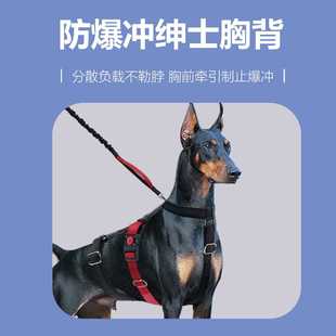 新款直销跨境爆款胸背带工字狗背带适合小中大型宠物遛狗绳狗背带