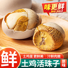 活珠子新鲜13天即食熟毛蛋鸡胚蛋批发开袋即食钢化蛋凤凰蛋原味
