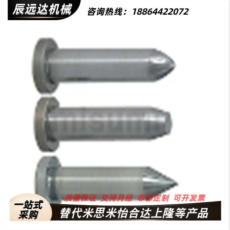 汽车模米思米标准 内定位引导针SPT/TPT卸料板固定用导正销直杆型