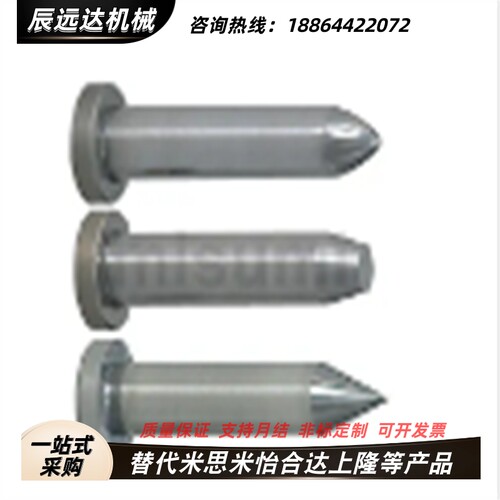 汽车模标准 内定位引导针SPT/TPT卸料板固定用导正销直杆型