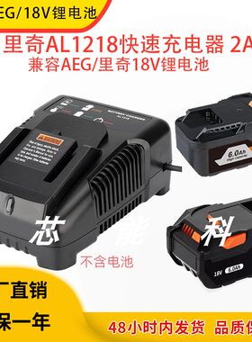 适用AEG里奇18V锂电池充电器