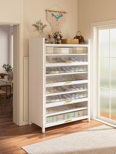 落地式多层钢鞋柜新型家用防尘大容量鞋架门入口玄关储物柜