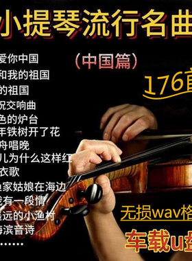 小提琴曲轻纯音乐无损车载u盘