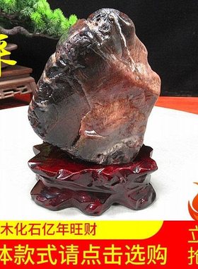 木化石原石旺财奇石观赏石硅化木