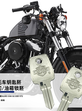 适用哈雷 硬汉 肌肉 XL883 X48 XL1200 V72 油箱钥匙胚摩托车配件
