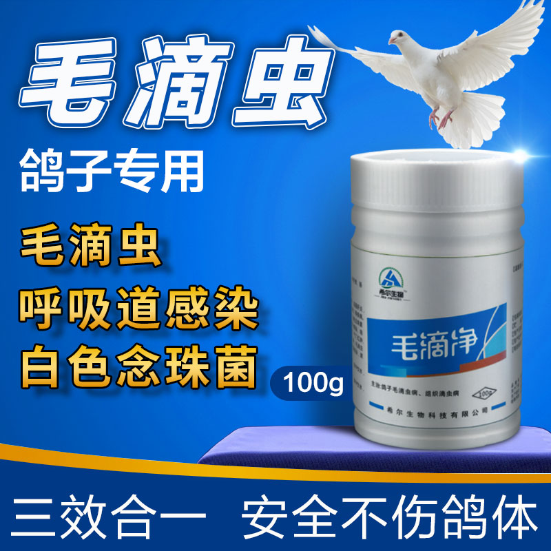 鸽子清理毛滴虫念珠菌口癀水便