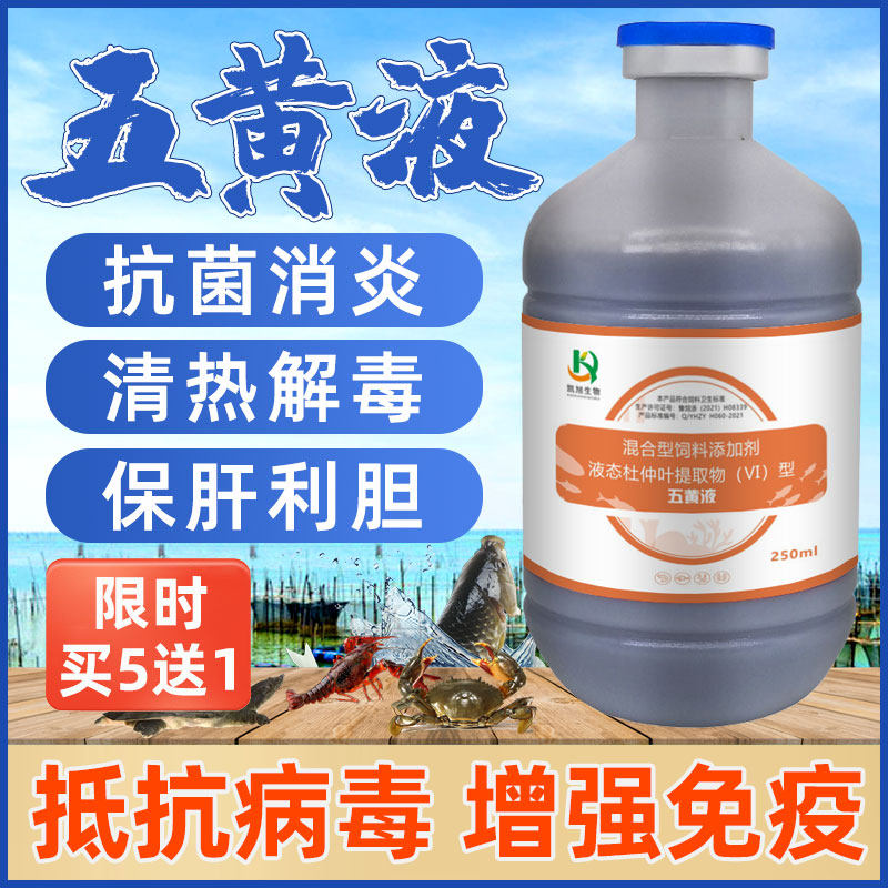五黄液抗菌消炎保肝利胆鱼虾蟹肠炎烂鳃出血水产养殖用五黄解毒散