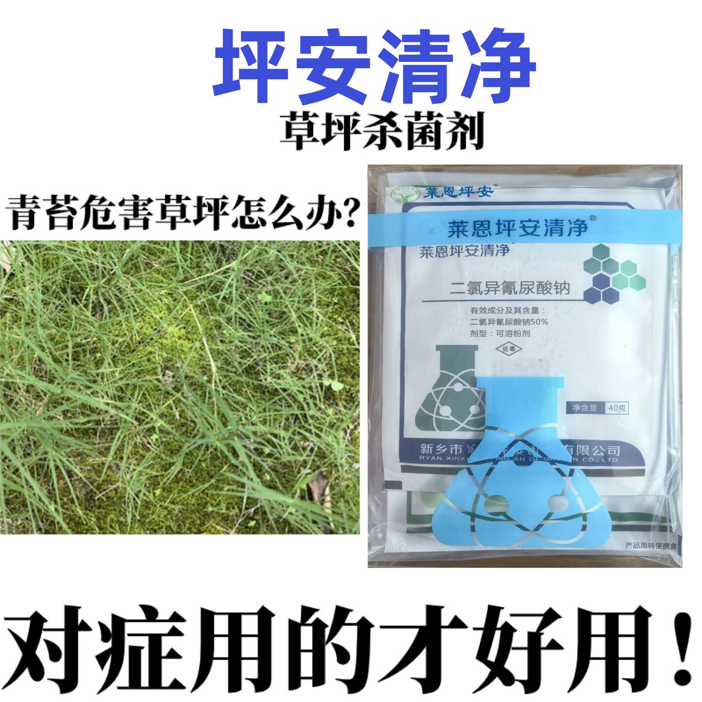 草坪褐斑除青苔消除剂 莱恩坪安清净黑麦草杀苔藓药药草皮杀菌剂