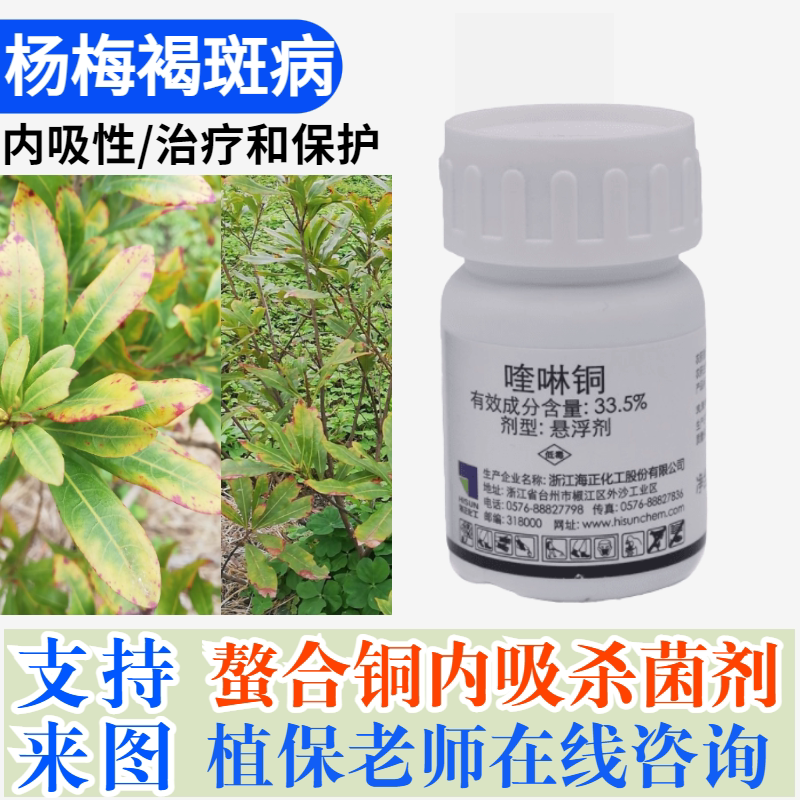 杨梅树黄斑褐斑病癌肿病树干腐烂病涂抹的药叶枯炭疽病杀菌剂农药