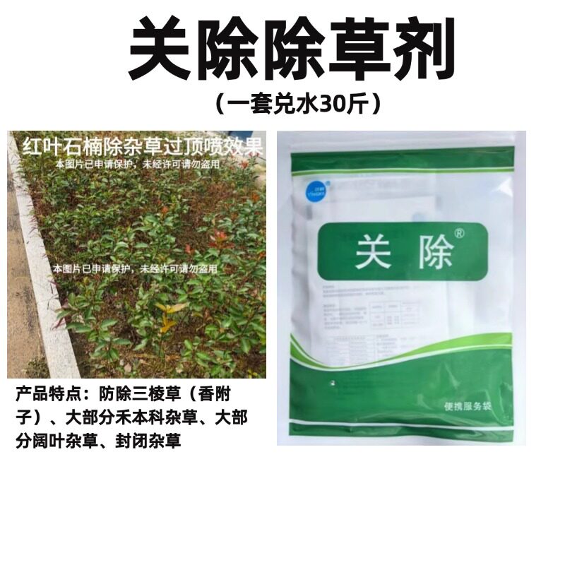 关除套装除草剂+红叶石楠苗除杂草尖阔圆叶水花生刺儿菜烂根技术