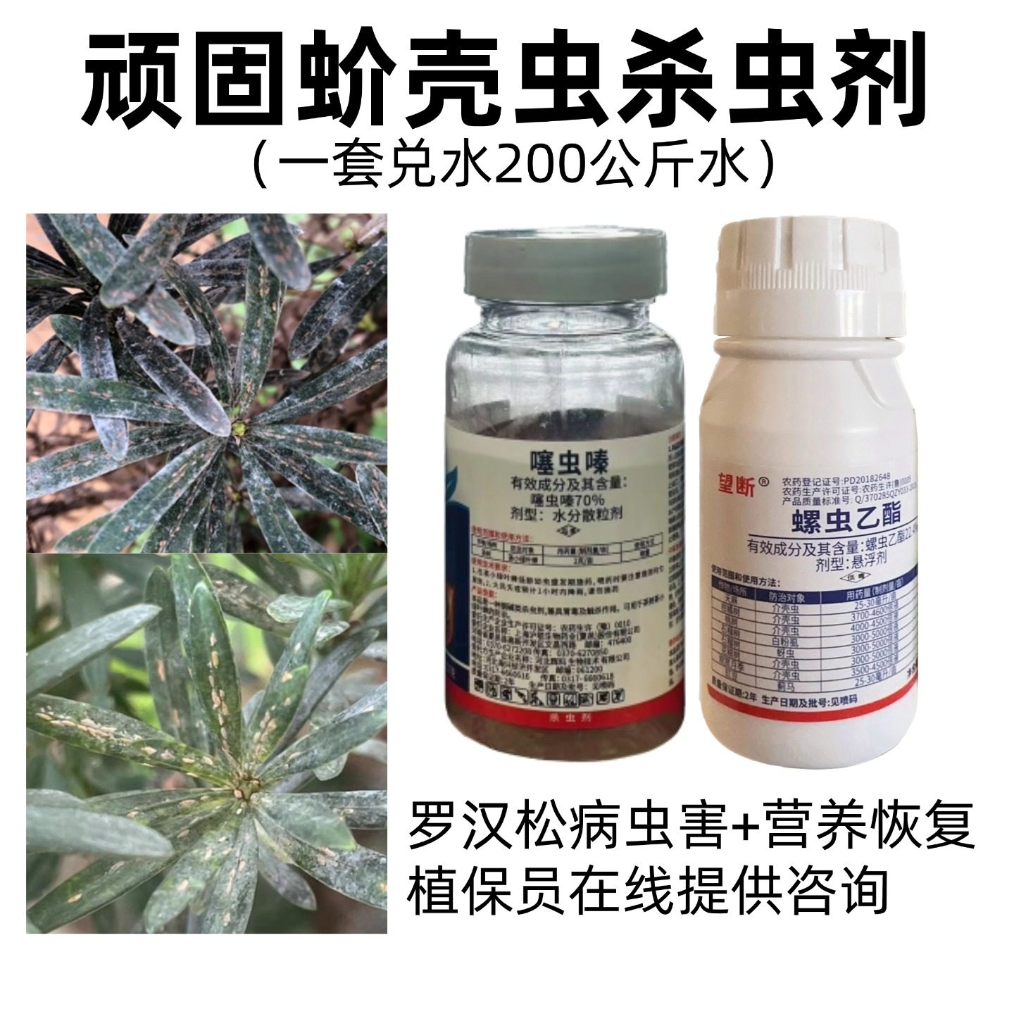 罗汉松五针松营养专用肥+白色点粉蚧壳虫介虫杀虫剂病虫药剂技术,农用物资,杀虫剂,淘宝优惠券,粉丝福利购,淘宝优惠卷
