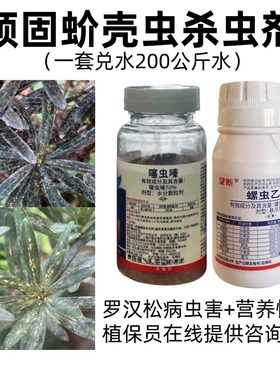 罗汉松五针松营养专用肥+白色点粉蚧壳虫介虫杀虫剂病虫药剂技术