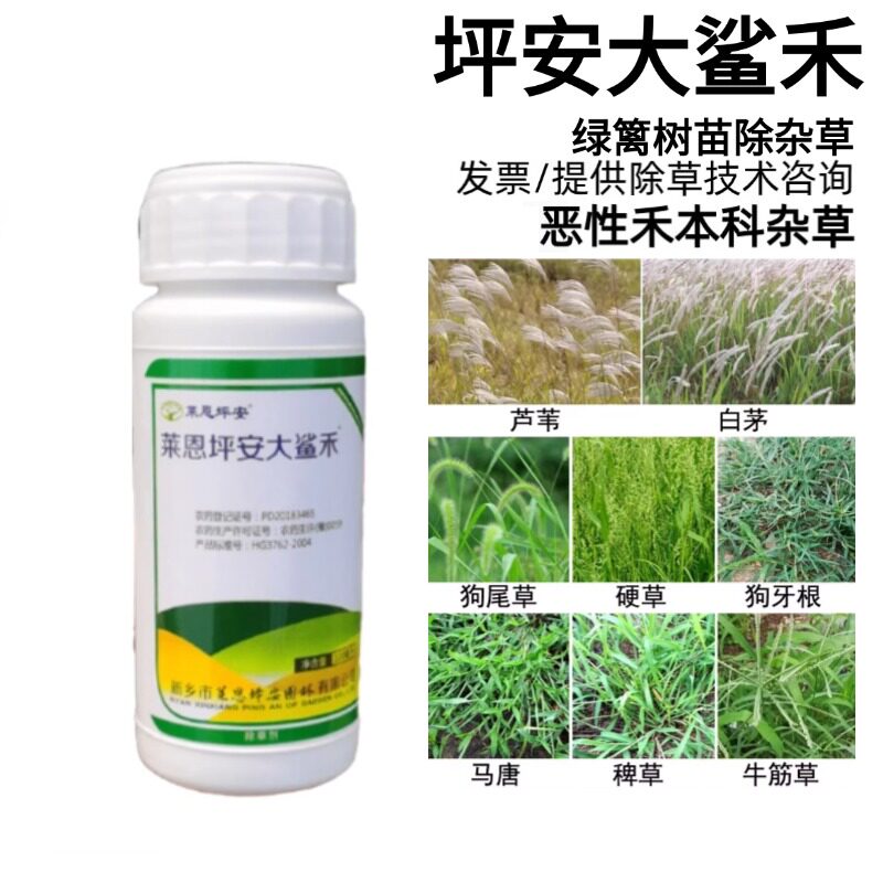 坪安大鲨禾金森女贞灌木小苗除草剂狗尾牙根茅草芦苇烂根除草农药