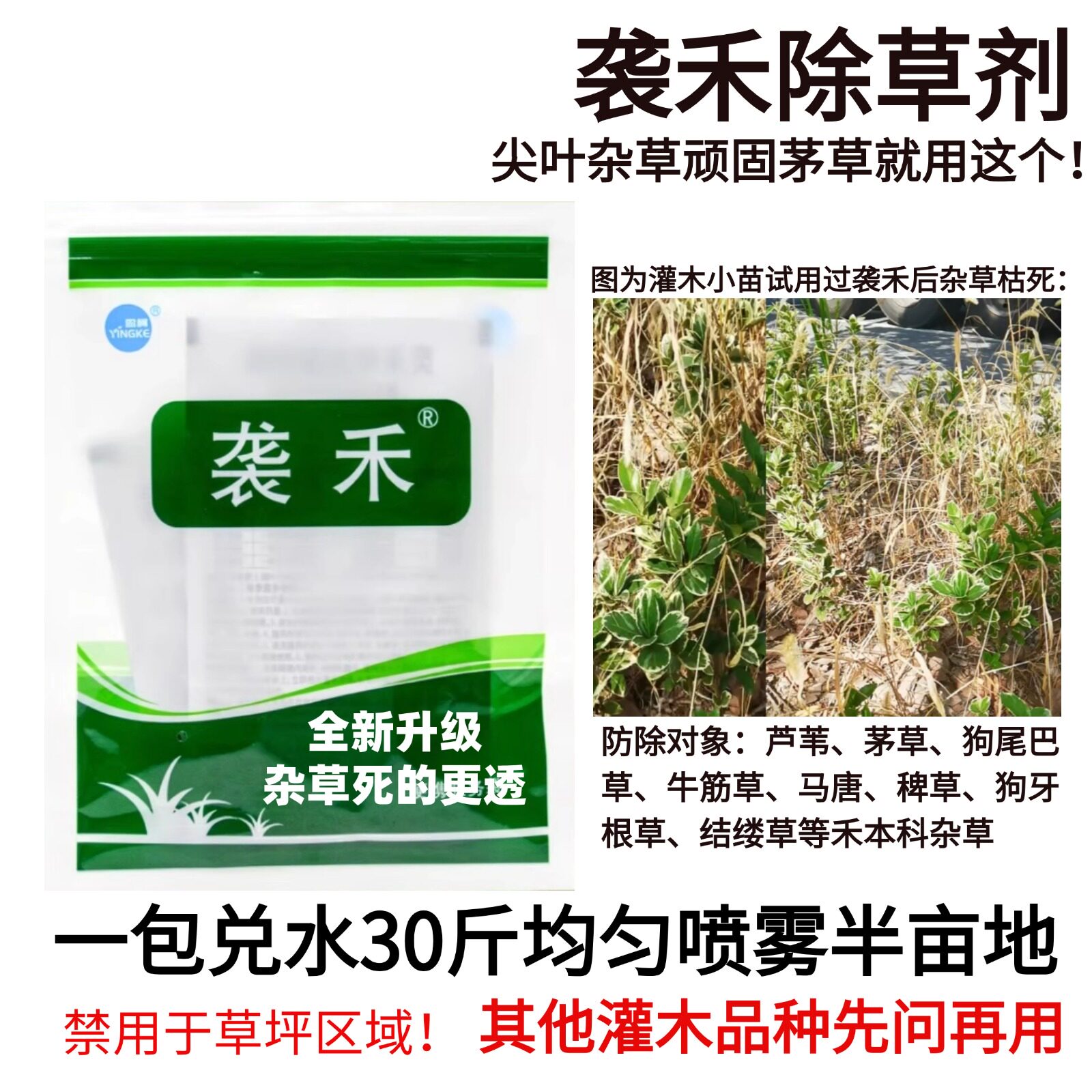 袭禾套装除草剂+地被苗白三叶除狗牙巴根茅草芦苇牛筋草除草技术