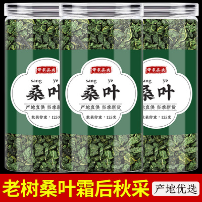 霜后老桑叶茶中药材500克正品