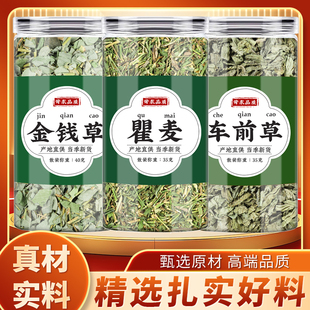 正宗车轮菜干草泡茶煮水 金钱草车前草瞿麦中药材正品 功效与作用