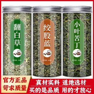 翻白草绞股蓝苦丁茶中药材组合官方正品 新鲜干货可搭配绿茶泡水喝