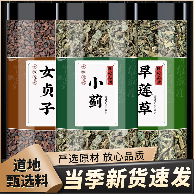 女贞子旱莲草小蓟正品茶包泡煮水