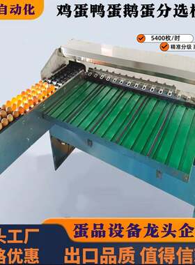 商用蛋品重量分选机 鸡蛋鸭蛋鹅蛋不锈钢分拣 全自动分拣设备