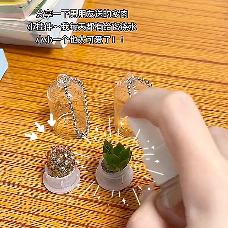 书包挂件迷你多肉植物创意挂件多仙人掌小钥匙扣情侣闺蜜送人礼物