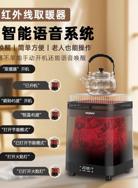 RONV电取暖器家用烧烤取暖炉新款升温火焰多功能室内整屋取暖急速