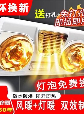 壁挂式浴霸免打孔防爆防水二灯泡