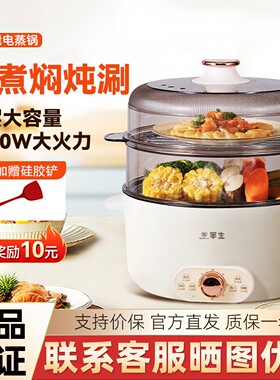 华生电蒸锅多功能家用上蒸下煮多