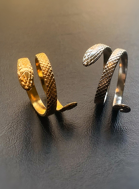 冷锋无垠-灵蛇钛钢戒指男潮开口