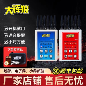 大辉狼A10大灰狼保护重量过磅公平保护重量防护称重过磅