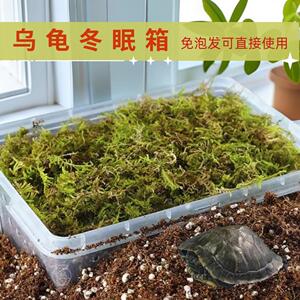 乌龟冬眠箱过冬装备椰土苔藓沙土保温冬眠神器恒温箱乌龟冬眠用品