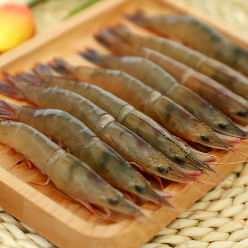 鲜活活皮虾海鲜青壳滑皮虾舟山野生剑虾滑条虾对虾新鲜硬壳虾海虾