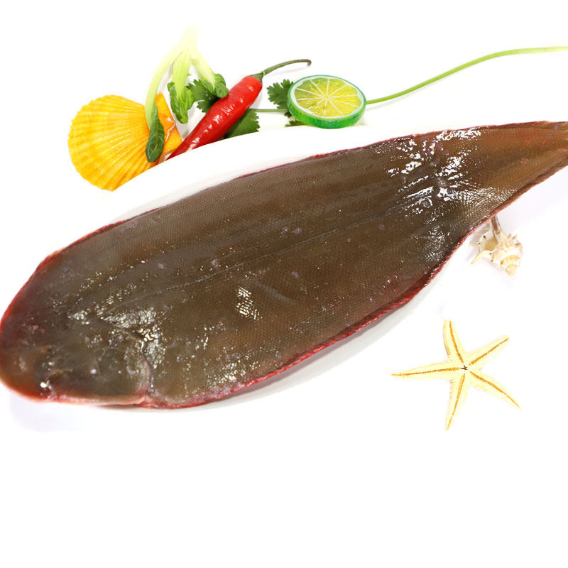 新鲜野生玉秃鱼龙利鱼比目鱼踏板鱼舌头鱼邋遢鱼宁波舟山海鲜水产