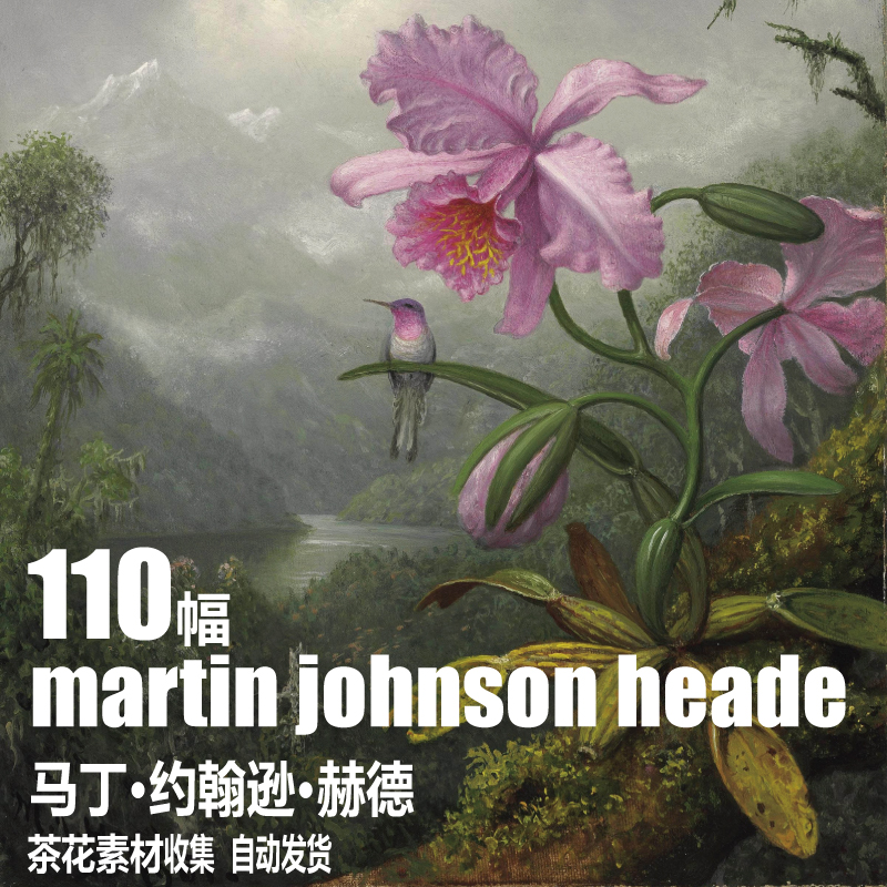 美国 马丁·约翰逊·赫德 martin johnson heade奇幻花鸟油画素材