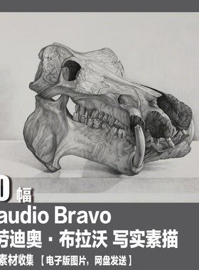 克劳迪奥 布拉沃 Claudio Bravo 写实素描 电子图 超现实主义素材