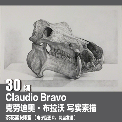 克劳迪奥 布拉沃 Claudio Bravo 写实素描 电子图 超现实主义素材