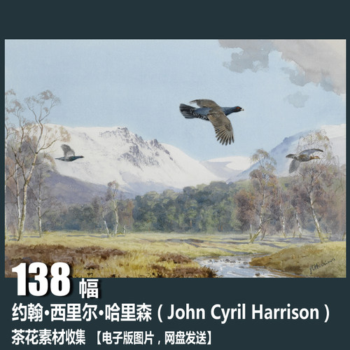 约翰 哈里森 ohn Cyril Harrison 电子图片 鸟类风景水彩画素材