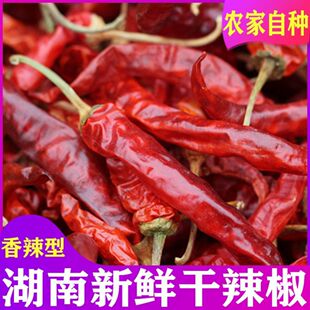 湖南怀化芷江干辣椒农家自种暴晒干辣椒