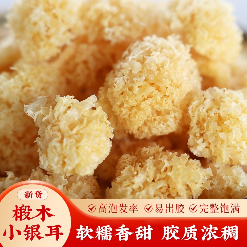 【名模坤专属】椴木小银耳香甜软糯巧克力白木耳干货甜糯口感出胶