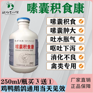 禽药鸡药大全嗉囊积食康鸡鸭鸽嗉囊炎积食胀气鹦鹉嗉囊清嗉囊肿大