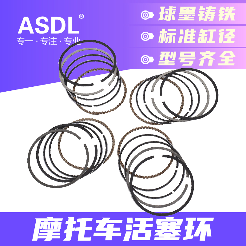 适用川崎ZX6R 636 ER6N ZXR250 ZRX GPZ ZZR西风400摩托车活塞环